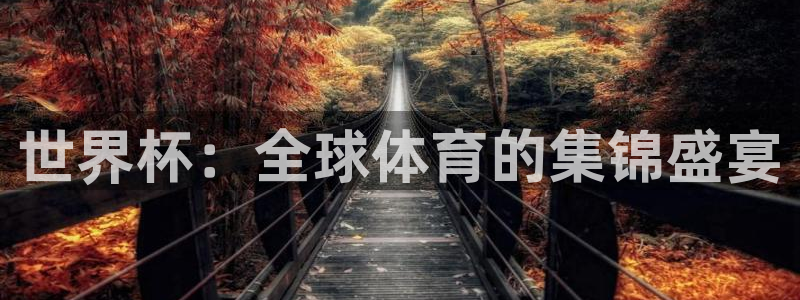 2026足球世界杯:世界杯:全球体育的集锦盛宴