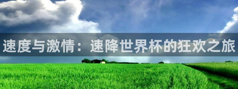 世界杯决赛圈球队:速度与激情:速降世界杯的狂欢之旅