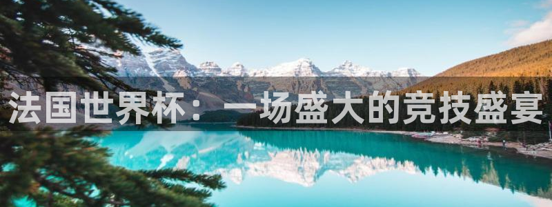 世界杯葡萄牙赛程:法国世界杯:一场盛大的竞技盛宴