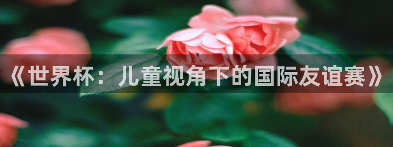 2026男足世界杯赛程:《世界杯:儿童视角下的国际友谊赛》