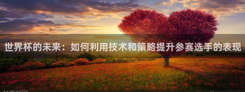 2026世界杯直播免费观看:世界杯的未来:如何利用技术和策略提升参赛选手的表现