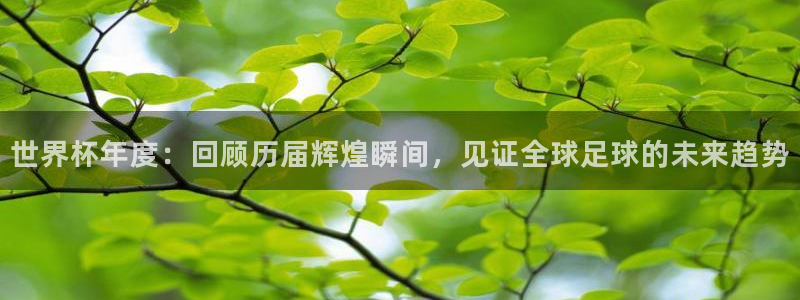 世界杯48支球队赛制:世界杯年度:回顾历届辉煌瞬间,见证全球足球的未来趋势