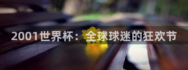 世界杯预选赛欧洲赛区积分榜:2001世界杯:全球球迷的狂欢节