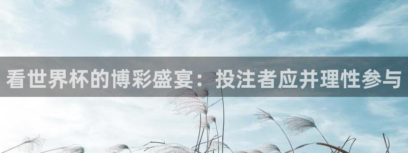 2026世界杯亚洲区预选赛赛程:看世界杯的博彩盛宴:投注者应并理性参与