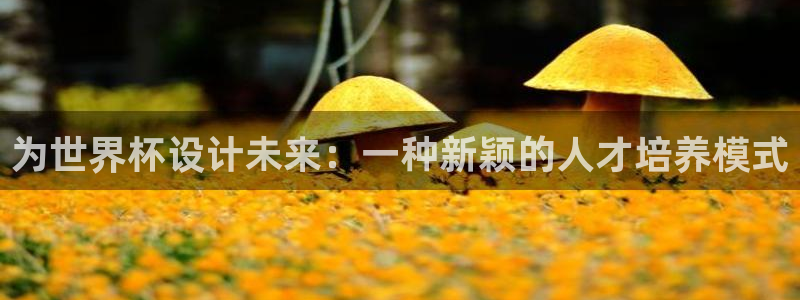 世界杯直播在线观看入口:为世界杯设计未来:一种新颖的人才培养模式